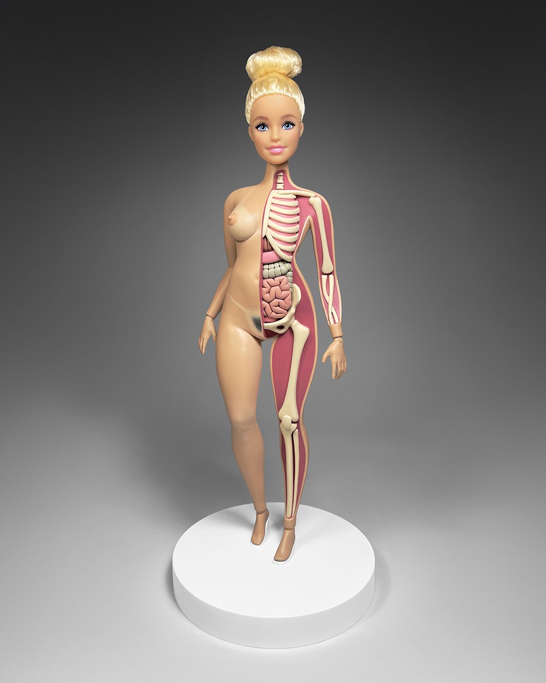 Jason Freeny | Discover Unique Anatomical Art - Shop Now